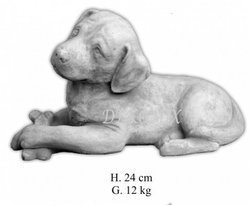 Hund liegend mit Knochen