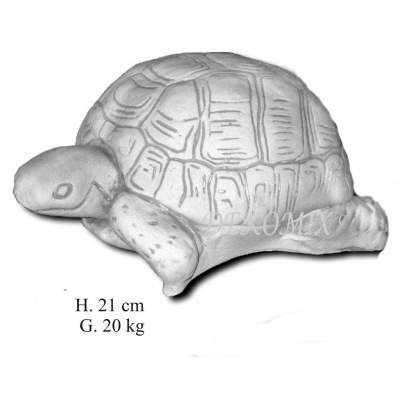 Schildkröte mittelgroß