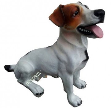 Jack Russell Terrier sitzend mittelgroß
