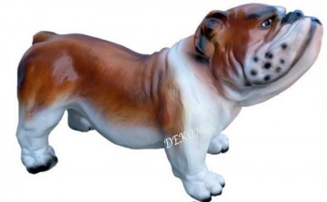 Englische Bulldogge klein