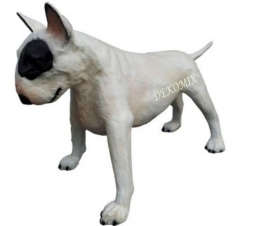 Bullterrier stehend groß