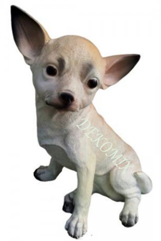 Chihuahua Hund sitzend klein
