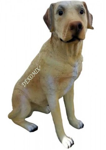 Labrador sitzend groß