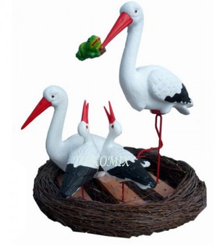 Storchfamilie im Nest