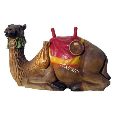 Camel liegend