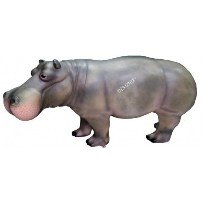 Flusspferd (Hippopotamus) XXL