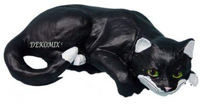 Katze schlafend