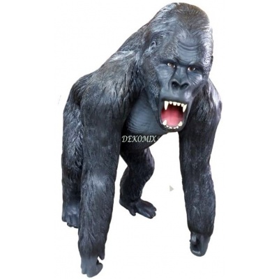  Gorilla mit offenem Mund