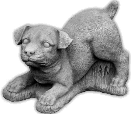 Rottweiler Welpe