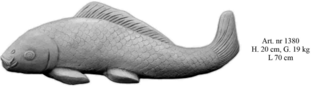 Koi Fisch XXL