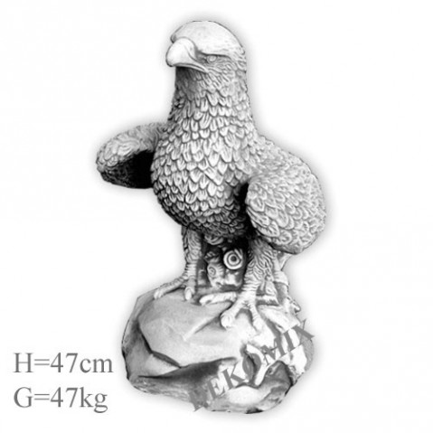 Steinadler