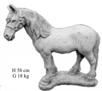 Pferd stehend mittelgroß