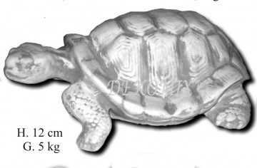Schildkröte gerade