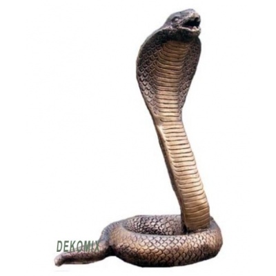 Kobra Schlange mittelgroß