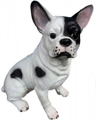 Französische Bulldogge sitzend klein
