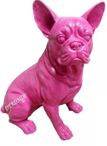Französische Bulldogge sitzend klein