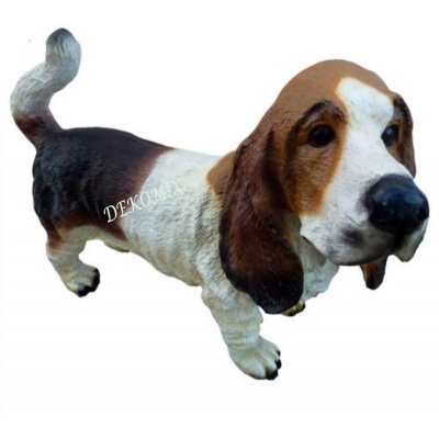 Basset Hound stehend klein