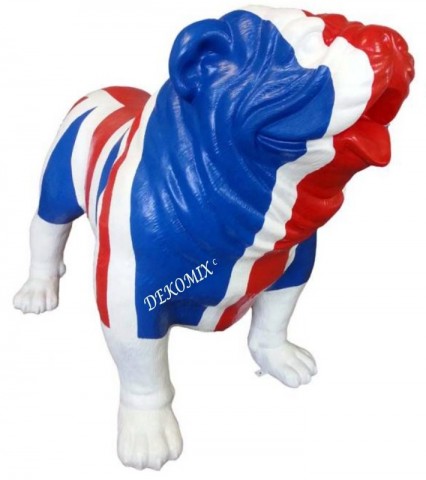 Englische Bulldogge XXL