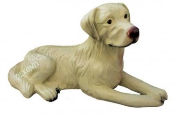 Labrador liegend