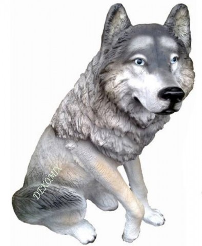 Wolf sitzend groß