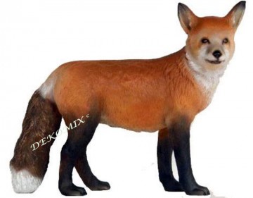 Fuchs stehend groß