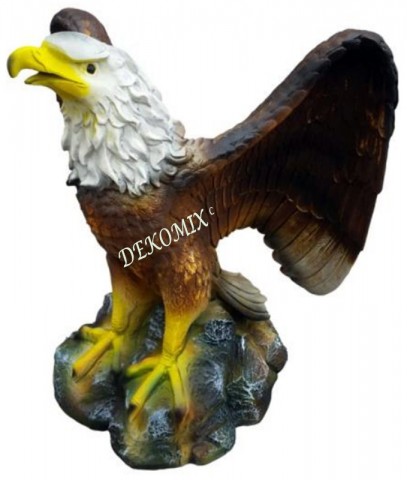 Adler mittelgroß