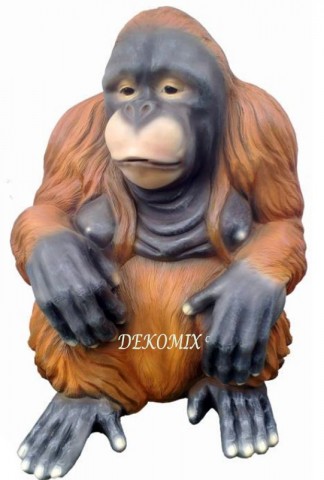 Orang-Utan sitzend