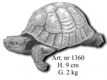 Griechische Landschildkröte