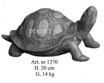 Schildkröte Kopf Hoch mtl