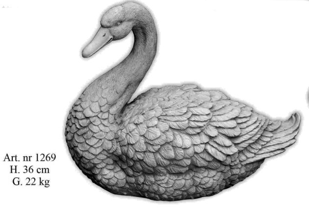 Schwan
