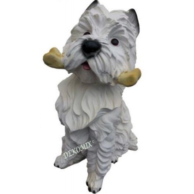 Hund Westy sitzend mit Knochen