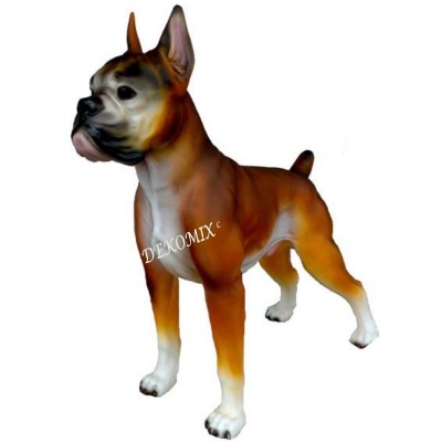 Hund Boxer stehend