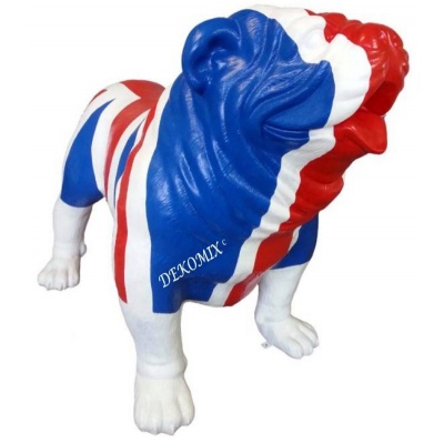 Englische Bulldogge XXL