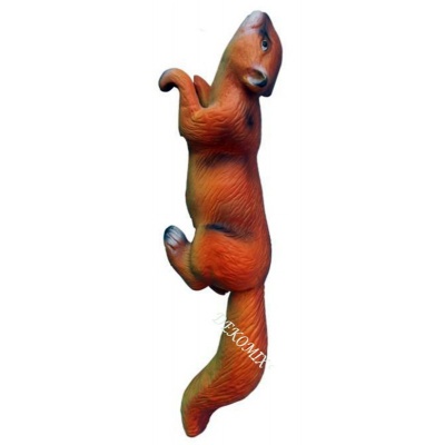 Eichhörnchen hängend klein